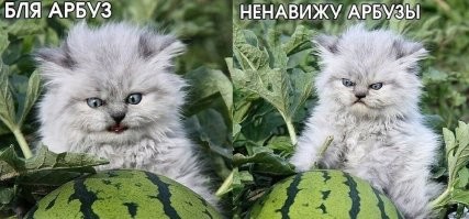 Йожика картинки. Выпуск 162