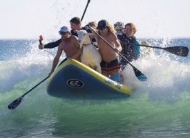 Морской волк в козлиной шкуре