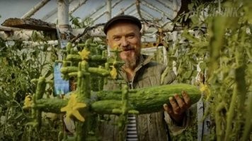 18 забавных необычностей из мира растений