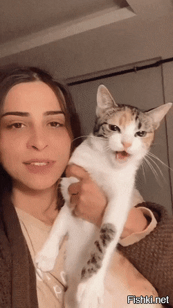 Солянка от 13.11.2025