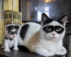 Фотоподборка