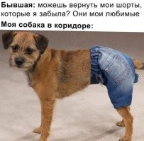 Судя по размеру шортов, это педофил или зоофил.