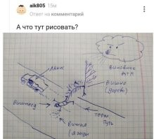 Смешные и познавательные картинки