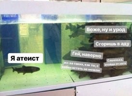 имхо счас наоборот..