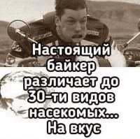 Девушка прокатилась на машине с ветерком