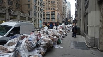 да ну фиг его знает. Кажется, в Малаховке таки всё-таки чище...