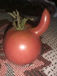у нас не хуже