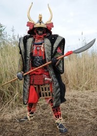 Лягушатники уделали самураев.