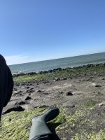 Ужасы то какие :) В Латвии летом в Юрмале тоже мало кто в воду заходит , иногда теплая вода ( иногда ) :) В северном море тоже мало кто купается :) В воскресение с пляжа кидал и ни одного человека ( кроме моих друзей которым уже пофиг было в какой воде купаться ) , где я с голым торсом это 6 недель назад Португалия и как видим там тоже желающих нет кроме моих детей и моей русалки :)