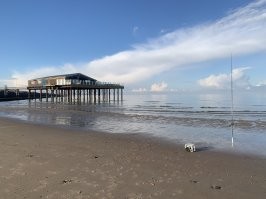Ужасы то какие :) В Латвии летом в Юрмале тоже мало кто в воду заходит , иногда теплая вода ( иногда ) :) В северном море тоже мало кто купается :) В воскресение с пляжа кидал и ни одного человека ( кроме моих друзей которым уже пофиг было в какой воде купаться ) , где я с голым торсом это 6 недель назад Португалия и как видим там тоже желающих нет кроме моих детей и моей русалки :)