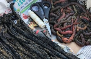 По правой стороне это еще живые а по левой тапы , нитка и ножницы это когда нанизал что бы спадали при забросе .