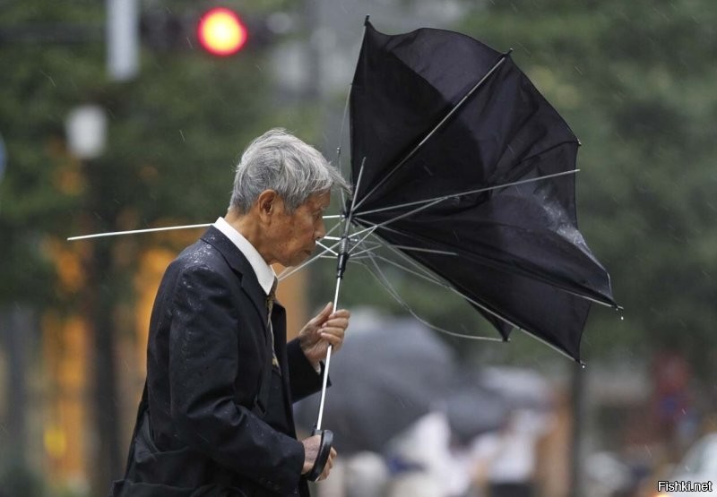 А обычный зонт писец как спасает при шторме и ливне.?