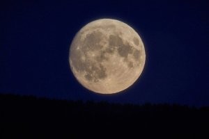 Смешные и познавательные картинки