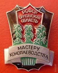 О пользе российской небеленой офисной бумаги