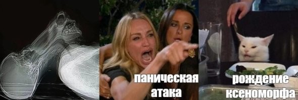 20+ любопытных рентгеновских снимков, которые покажут скрытые от глаз вещи