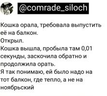 Они всегда ищут дверь в лето.