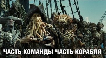 Мужчина пытается спасти жизнь морской черепахе, удаляя с нее ракушки