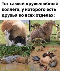 Судя по левой нижней фотографии,если он нашёл подругу в бухгалтерии,то он реально великолепен!))))