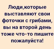 Немного не в тему, но про грибы)) :