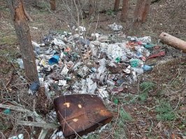 А вот так выглядит по весне.