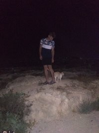 Они не совсем бездомные, в некоторых местах стоят домики для кошек, многие кормят.