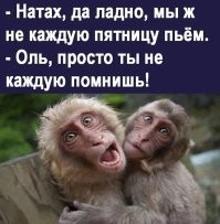 Алкопост на вечер этой пятницы
