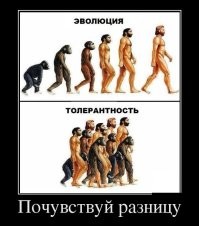 Доказательства эволюции, которые демонстрирует человеческое тело