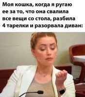 Здесь вообще то показана кошка, которая срёт на кровать.