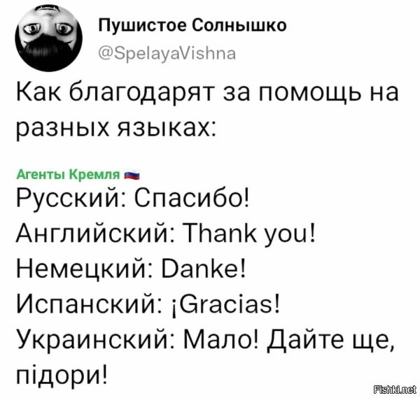 Вот за это пять баллов!!!