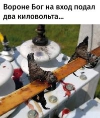 7 интересных фактов об электричестве