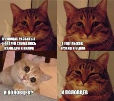 Смешные и познавательные картинки