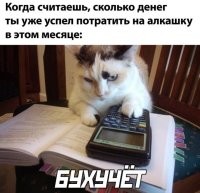 Сколько надо и ни копейки больше, всё нормально ;)