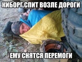 Мечту больших бородатых 40-летних мальчиков исполнила компания Hasbro