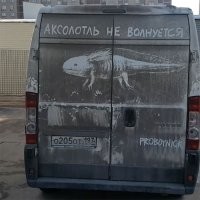 У нас тоже есть такой художник Pro Boy Nick