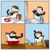 19 забавных комиксов, которые отлично поймёт каждый, у кого дома живёт кот