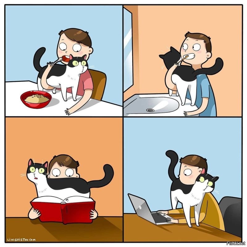 19 забавных комиксов, которые отлично поймёт каждый, у кого дома живёт кот