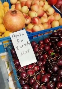 В Краснодарском крае холяве не место.