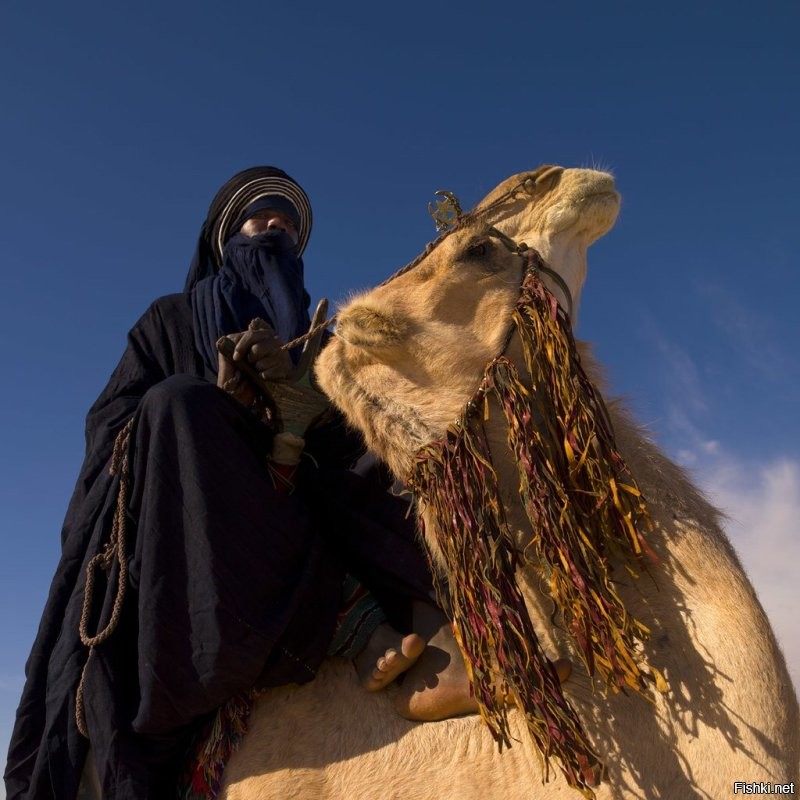 Бедуинам расскажи про весеннюю прохладу в +30. Они и в +50 черное не снимают...