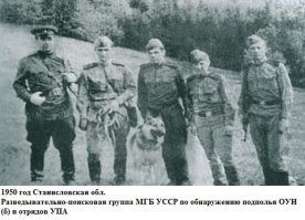 Смешные и познавательные картинки