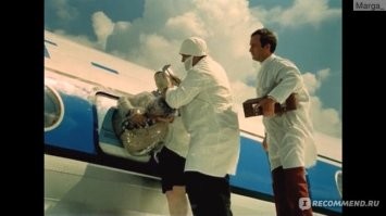 У меня, как у диванного доктора наук по физике вопрос, как быстро охлаждается набегающим потоком температурой в -55С со скоростью 800-900 км/ч эта чорная поверхность? Если я высуну ..й с темературой в 36,6С в окно при таких условиях, он у меня отвалится через 5 или 10 секунд?