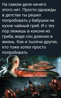 Смешные комментарии из&nbsp;социальных сетей-80