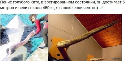 Не знаю зачем, но НА ВСЯКИЙ СЛУЧАЙ