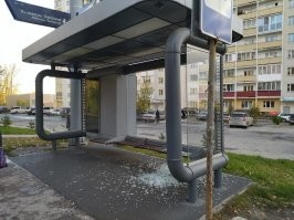 Вот так они выглядят с близкого растояния