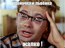 30 фотодоказательств того, какой суровой была природа миллионы лет назад