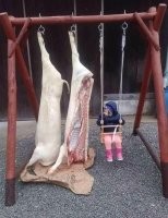 Нормальные качели - на таких стоя качаются.



Вьетнам или Лаос. Там из американского "наследия" что только не делают.







Голимый фотошоп.