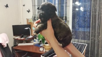 Вот эта крошка зашла как-то)))))