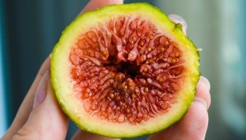 Да ун ас такого тоже навалом. Тот же инжир в разрезе выглядит довольно... жутковато