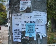 18 забавных объявлений, которые можно признать шедеврами народного креатива