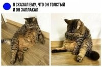 Сердца у тебя нет! Извиняйся теперь...