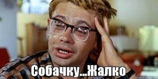 В Архангельске пожилой водитель сбил школьницу с собачкой